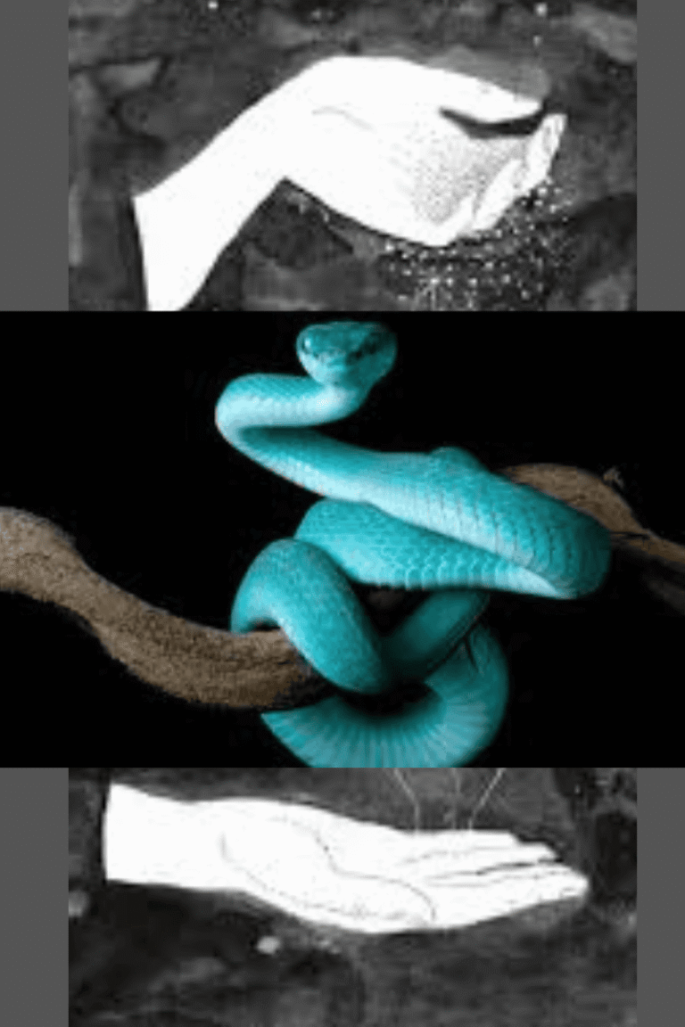 Design sem nome (28) (1)